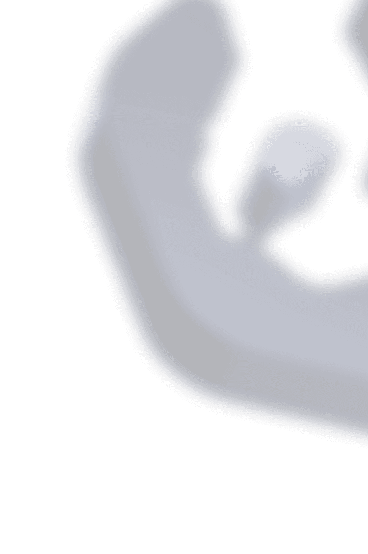 blur right logo